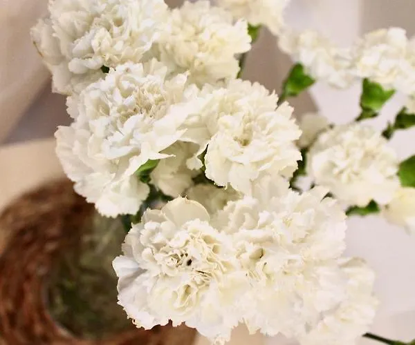 Casamamy شقة بومبيي